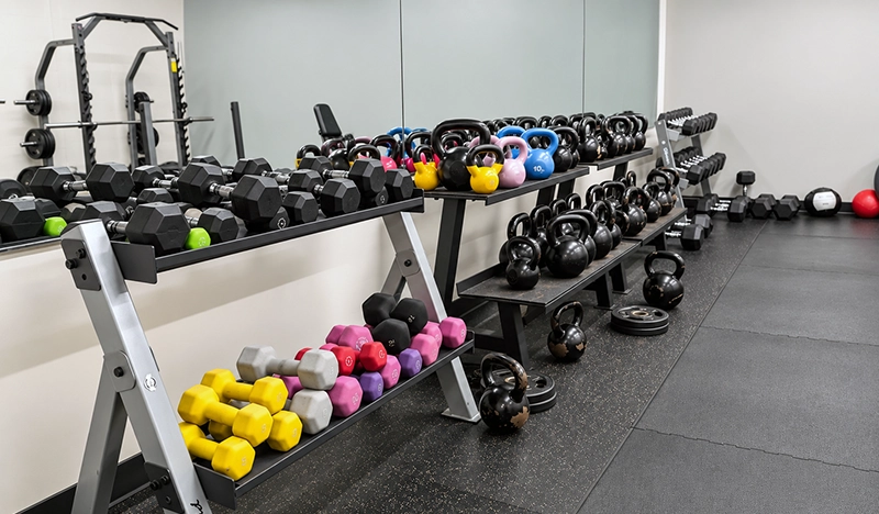 free weights in the fitness center