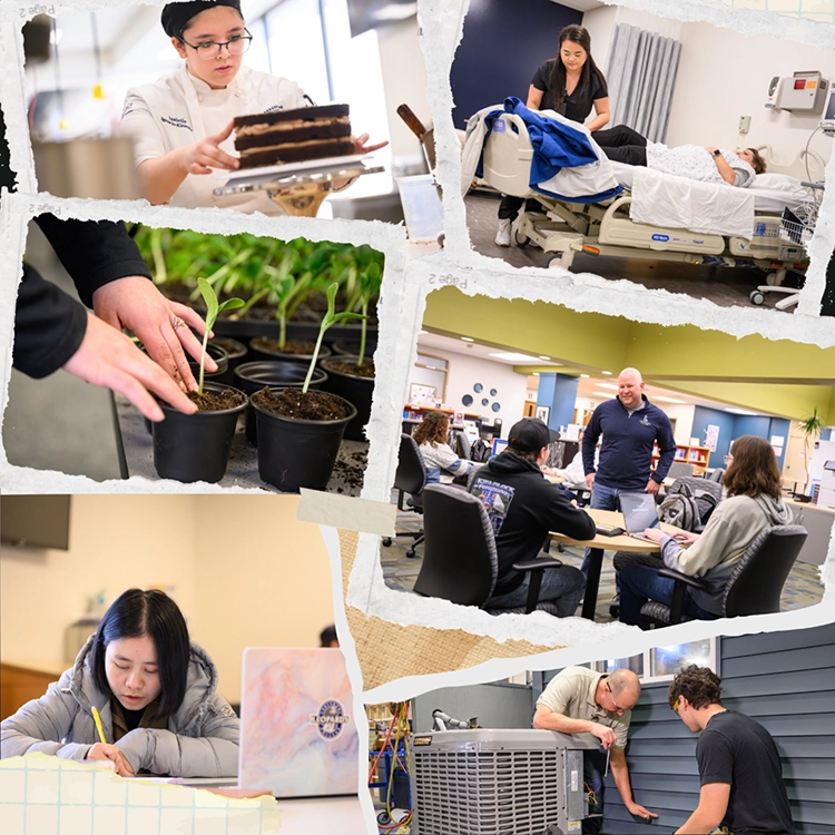 a collection of photos from around the college.