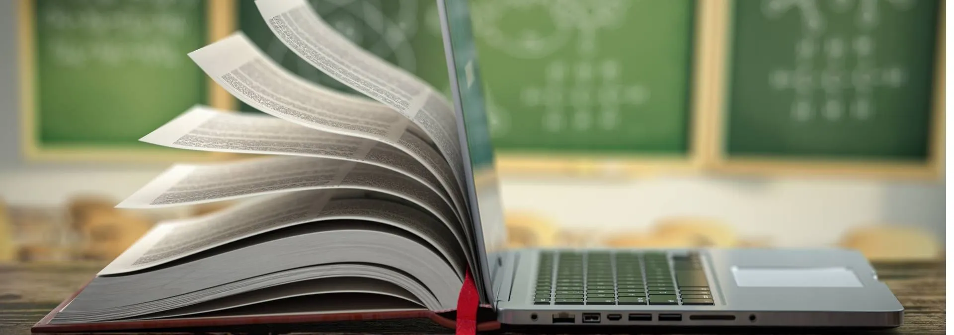 programs_and_courses_header.jpg