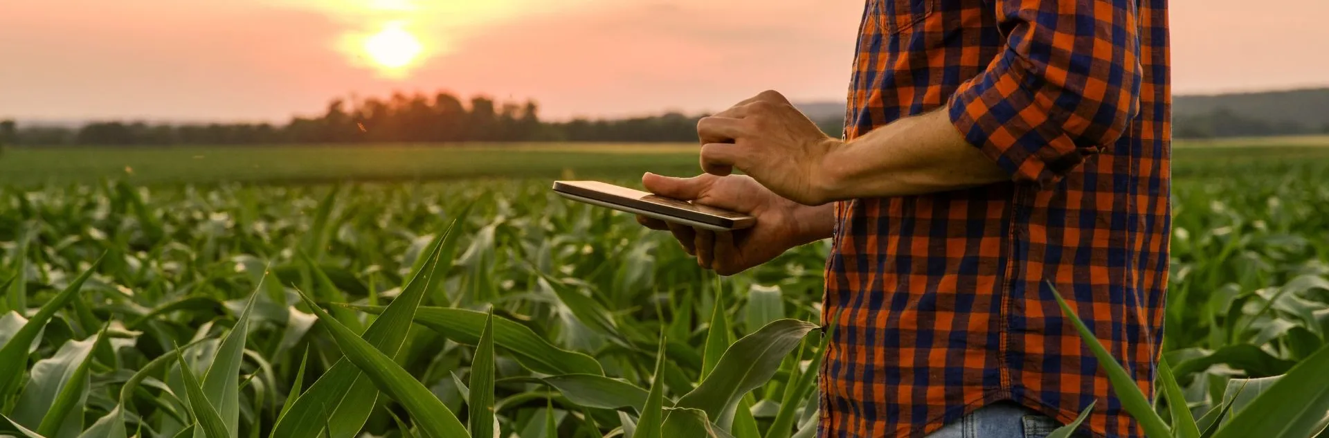 agribusiness_science_technology_program_page.jpg