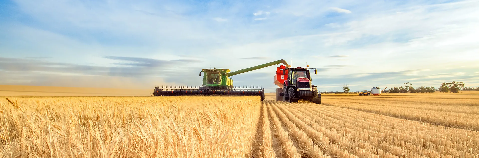 WEB_Agribusiness_cluster_img_010725.jpg