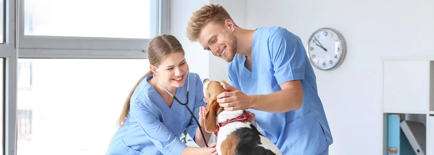 Veterinary-Assistant_1400x500.jpg